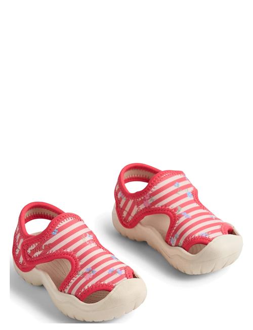 Wheat | Sandal Bani | 32