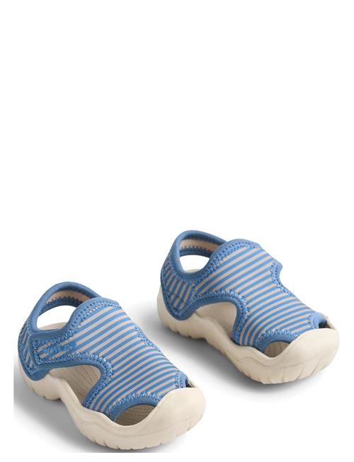 Wheat | Sandal Bani | 28