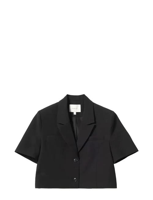 Noella | N-Leanne Crop Blazer | XL