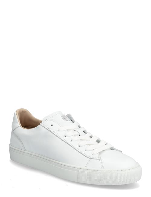 Sneaky Steve | Grand White | 44