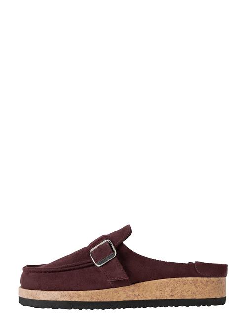 name it | Nknjavery Mules | 30