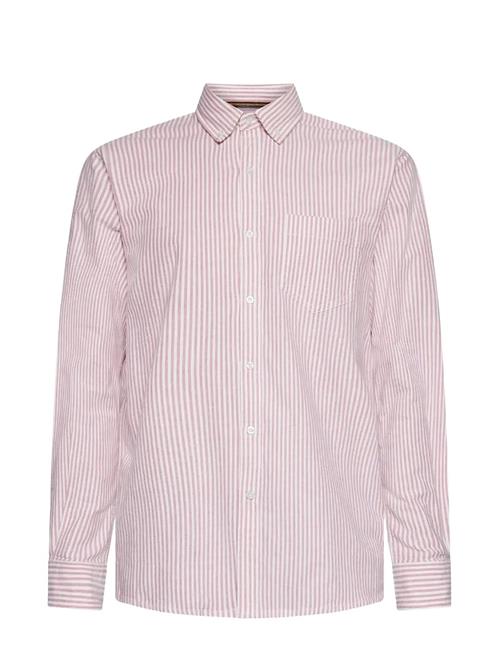 SIGNAL | Scottsi Oxford + | M