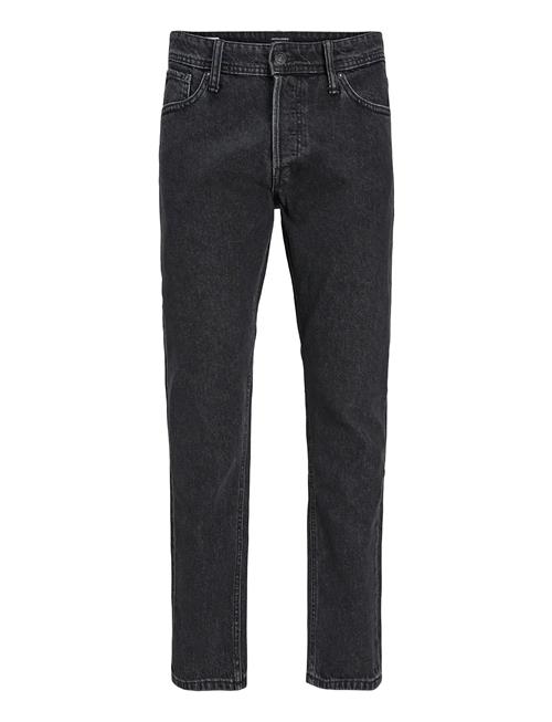 Jack & Jones | Jjichris Jjoriginal Sq 737 Noos | 36 x 36
