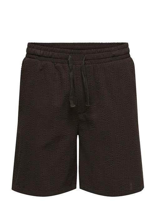 ONLY & SONS | Onscruz Seersucker Jogger Shorts | XL