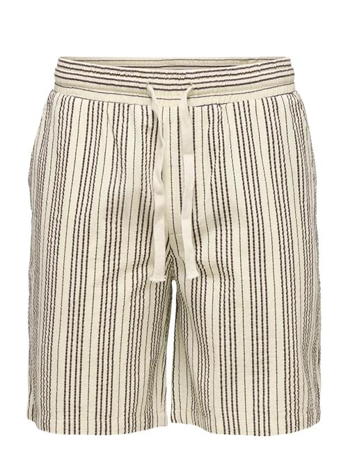 ONLY & SONS | Onscruz Seersucker Jogger Shorts | S