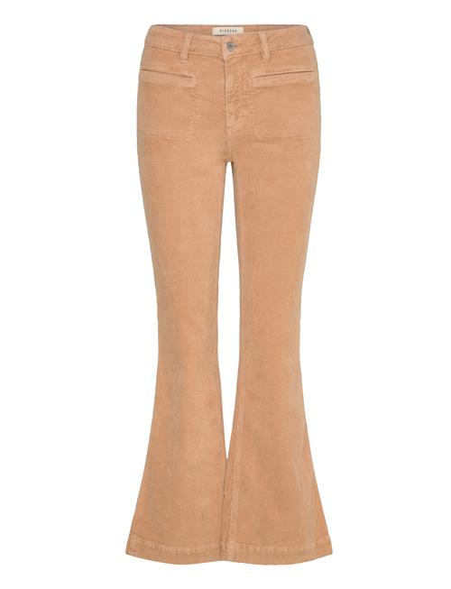 Pieszak | Pd-Cara Jeans 70'S Excl. Corduroy | 30 x 30