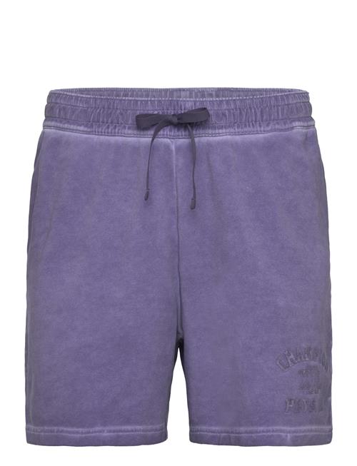Champion | Shorts | XXL
