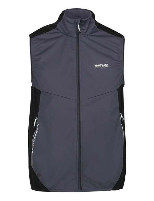 Regatta | Lankin Iv / Lankin Iv | M