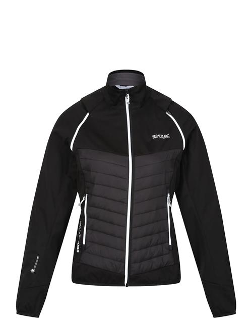 Regatta | Wmn Steren Hybrid / Wmn Steren Hybrid | 10 L