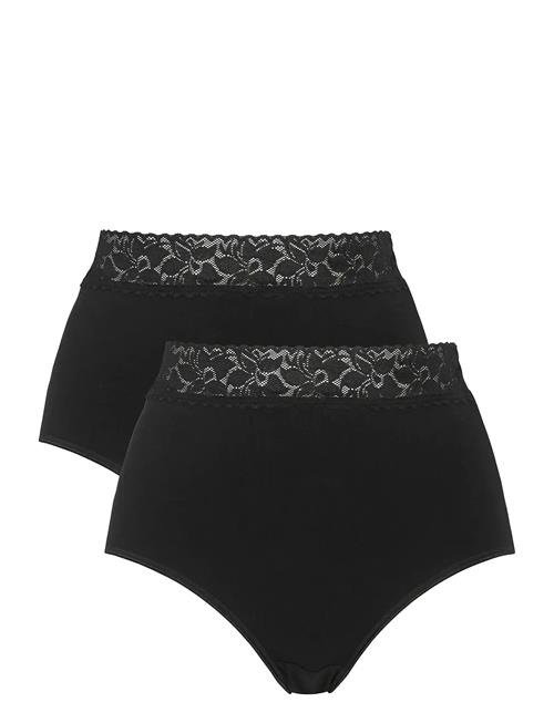 Damella of Sweden | 2-Pack Maxi Brief | M
