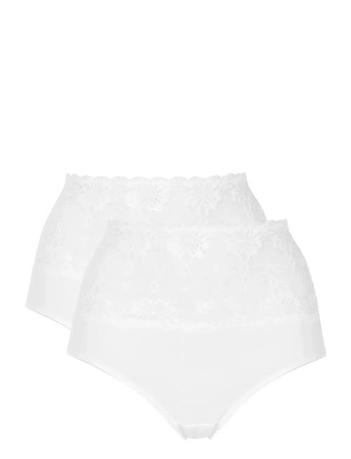Damella of Sweden | 2-Pack Maxi Brief | M