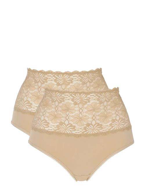 Damella of Sweden | 2-Pack Maxi Brief | L