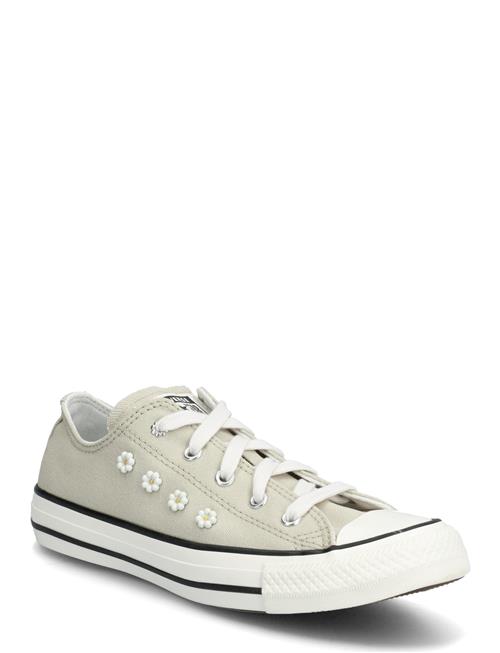 Converse | Ctas Ox Sage Smoke/Vintage White/Black | 36