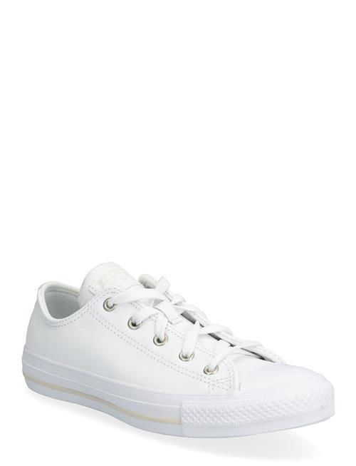 Converse | Ctas Ox White/White/Lt Orewood Brn | 35.5