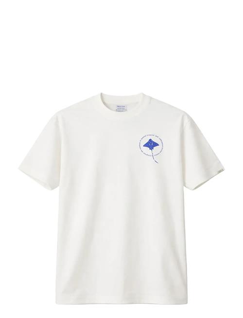 Legends | Bruce Stingray Tee | XL