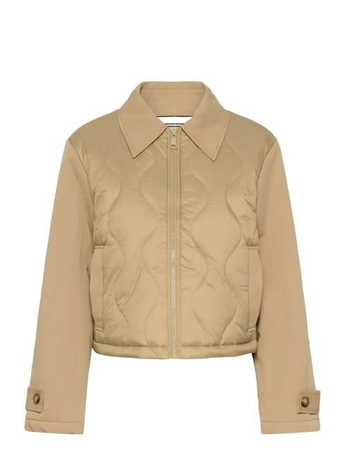 Saint Tropez | Odinasz Jacket | XXL