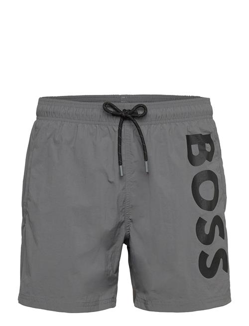 BOSS | Octopus | L
