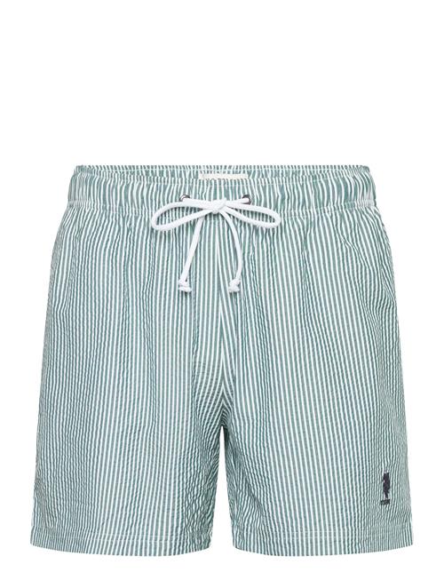 U.S. Polo Assn. | Uspa Swimshorts Briggs Men | XXL