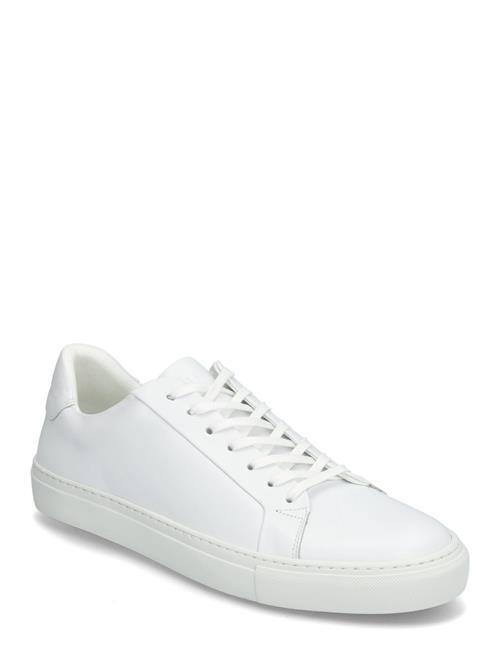 Sneaky Steve | Roony White | 45