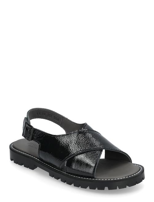 ANGULUS | Sandals - Flat  - Open Toe - Op | 36