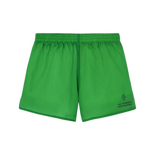 The Animals Observatory Spider Kid Shorts Green 14 Y  Grøn  14 år  unisex
