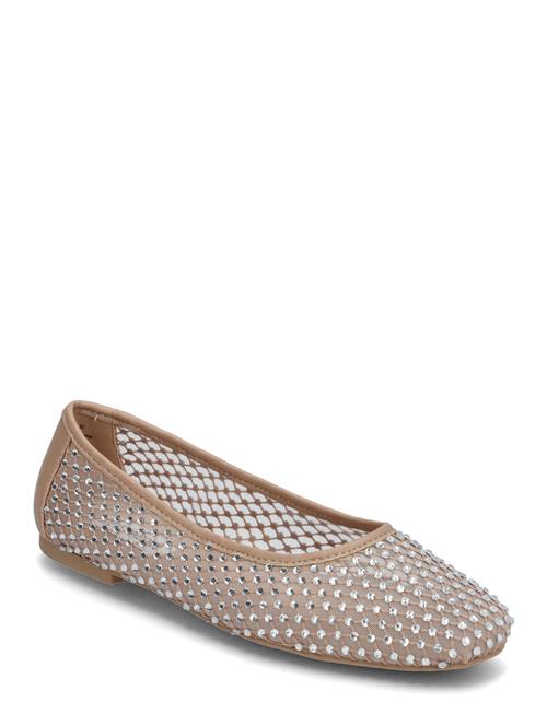Steve Madden | Auden | 42