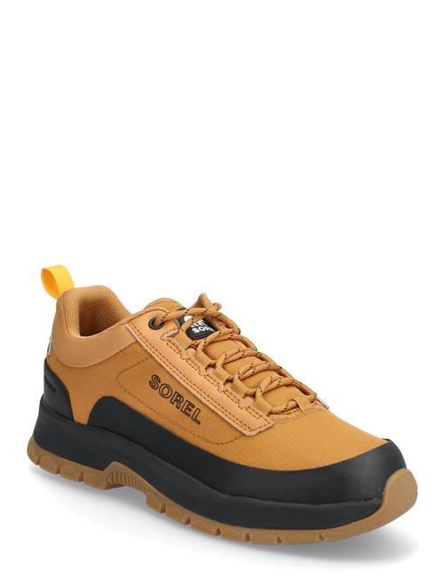 Sorel | Outing Nw Sneaker Low Wp | 41.5