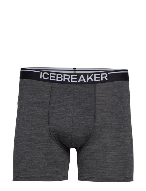 Icebreaker | M Anatomica Boxers | S