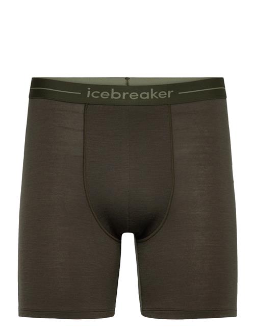 Icebreaker | M Anatomica Long Boxers | L