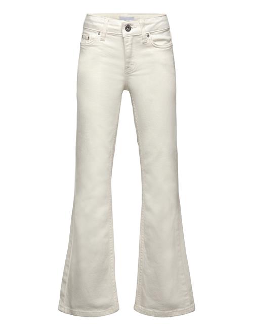 Grunt | Texas Broken White Bottoms | 170
