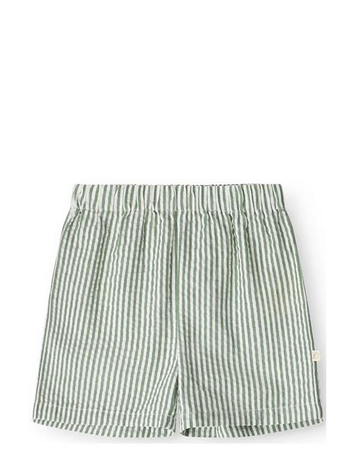 That's Mine | Isa Shorts | 92CM/2Y