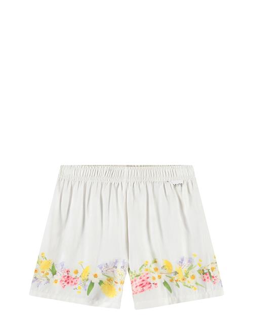 Molo | Adore | 104