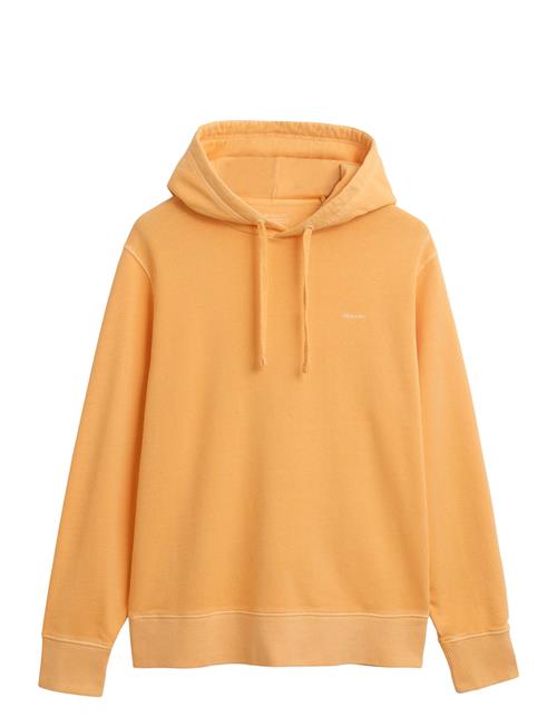 GANT | Sunfaded Hoodie | L