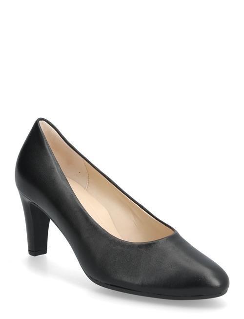 Gabor | Pumps | 41