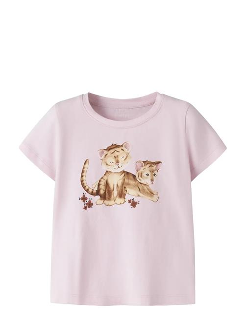 name it | Nmfherta Ss Top Box | 86