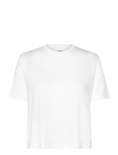 Organic Basics | Soft Touch Boxy Tee | L