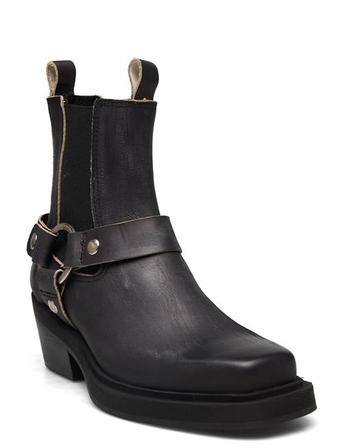 Pavement | Dusty Buckle Two-Tone | 38