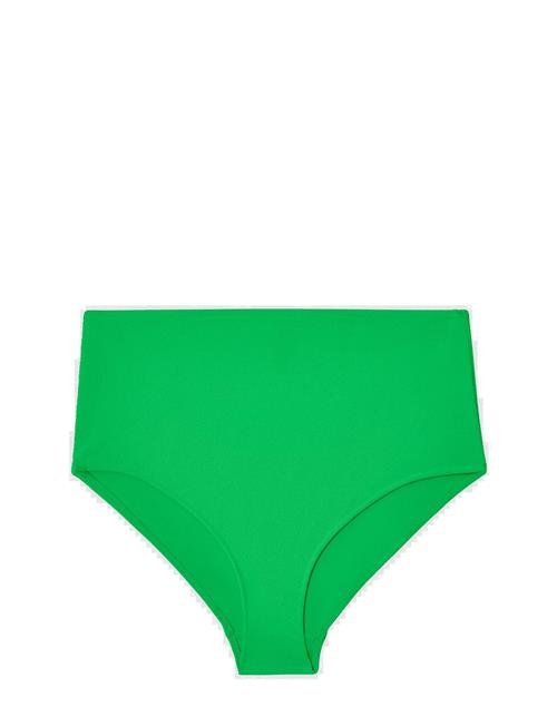 Understatement Underwear | Highwaist Bikini Briefs | XXL