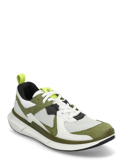 ECCO | Biom 2.2 M | 43