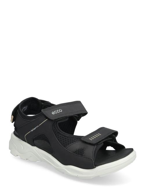 ECCO | Biom Raft | 39