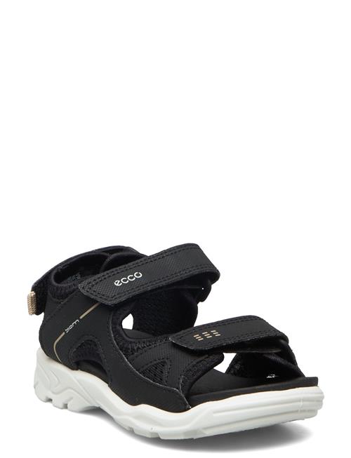 ECCO | Biom Raft | 31