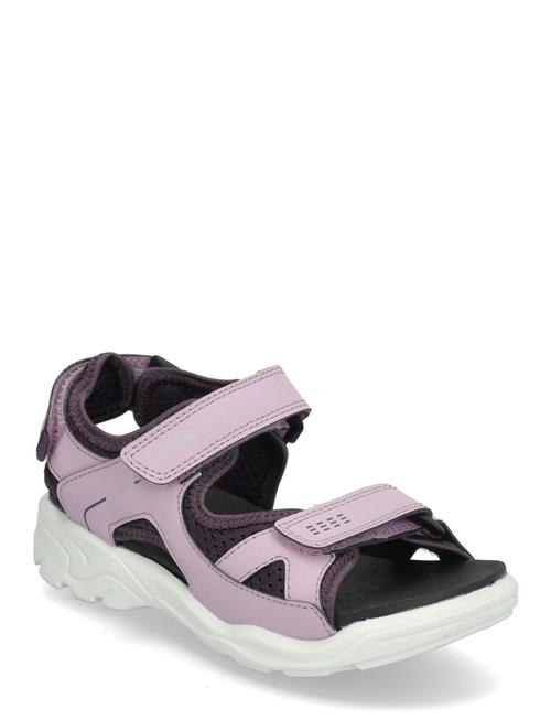 ECCO | Biom Raft | 28