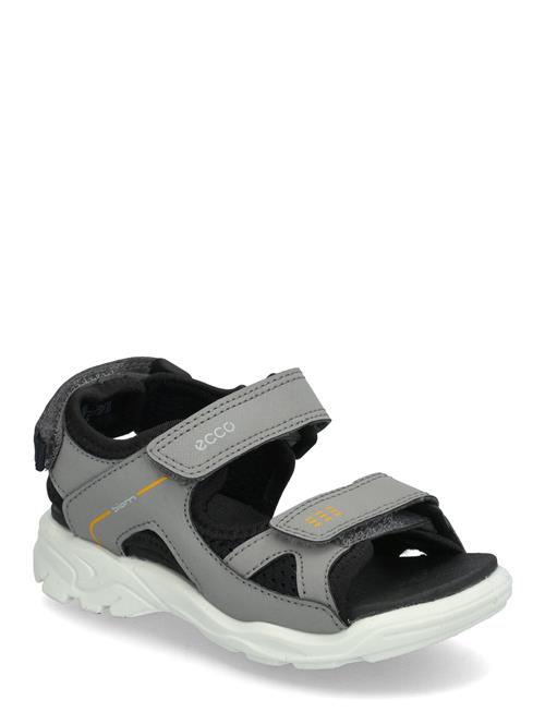 ECCO | Biom Raft | 24