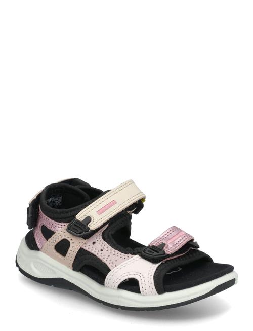ECCO | X-Trinsic K | 33