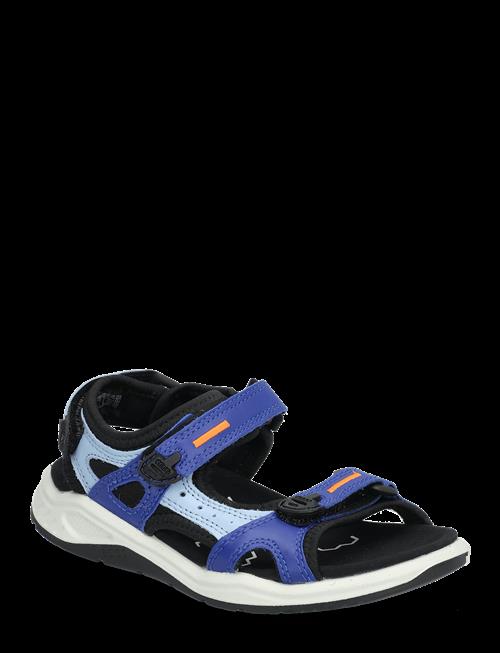 ECCO | X-Trinsic K | 26