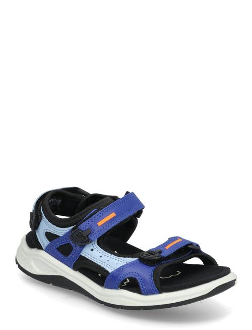 ECCO | X-Trinsic K | 29