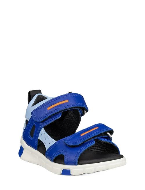 ECCO | Mini Stride Sandal | 19