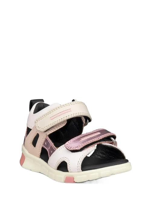 ECCO | Mini Stride Sandal | 21