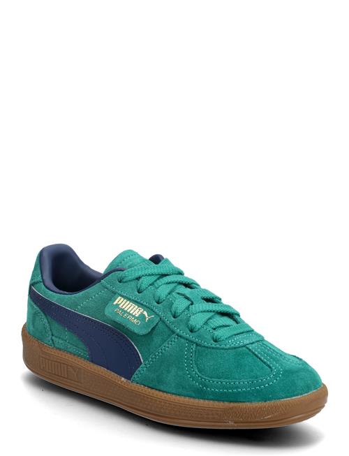 PUMA | Palermo Jr | 37