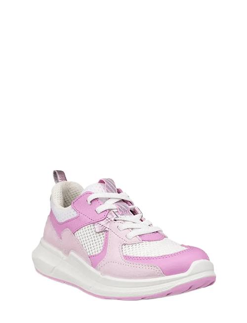 ECCO | Biom 2.2 K | 29